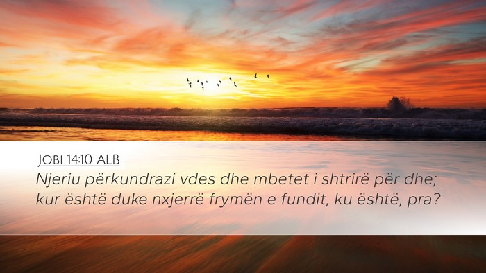 Jobi 14:10 ALB Bible Verse Image
