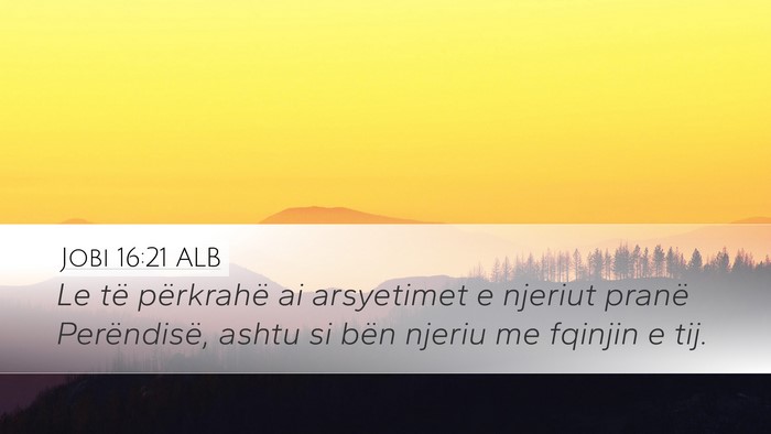 Jobi 16:21 ALB Bible Verse Image