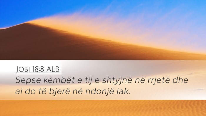 Jobi 18:8 ALB Bible Verse Image
