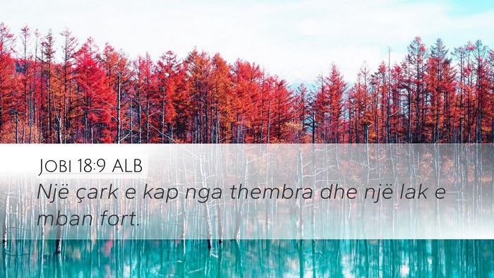 Jobi 18:9 ALB Bible Verse Image