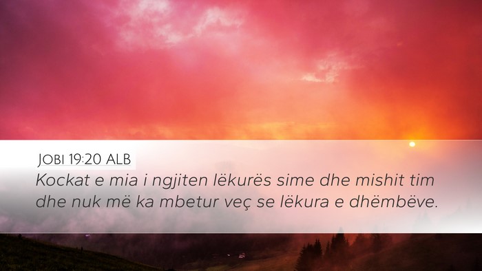 Jobi 19:20 ALB Bible Verse Image