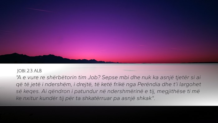 Jobi 2:3 ALB Bible Verse Image