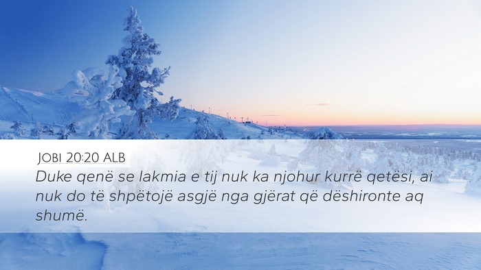 Jobi 20:20 ALB Bible Verse Image