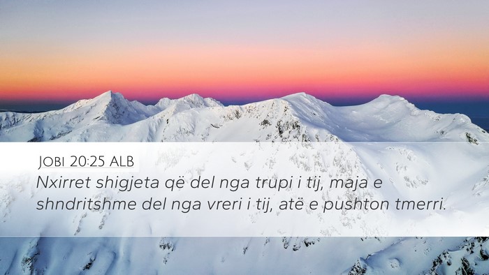 Jobi 20:25 ALB Bible Verse Image