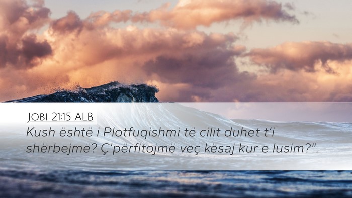 Jobi 21:15 ALB Bible Verse Image