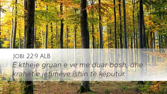 Jobi 22:9 ALB Bible Verse Image
