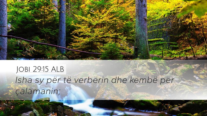 Jobi 29:15 ALB Bible Verse Image