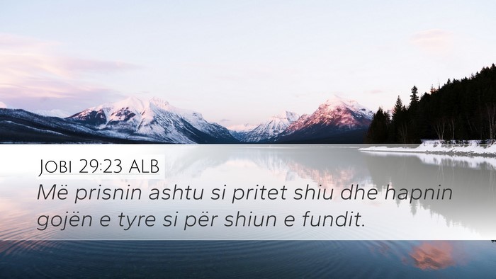 Jobi 29:23 ALB Bible Verse Image