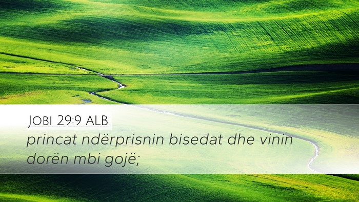 Jobi 29:9 ALB Bible Verse Image