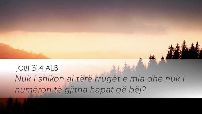 Jobi 31:4 ALB Bible Verse Image