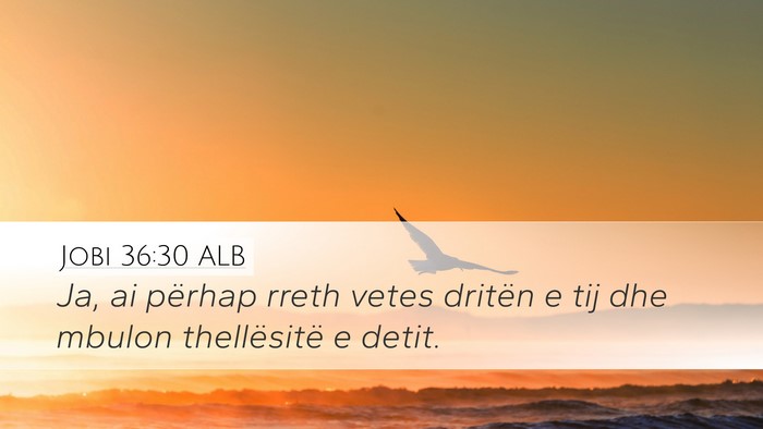 Jobi 36:30 ALB Bible Verse Image