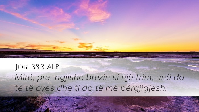 Jobi 38:3 ALB Bible Verse Image