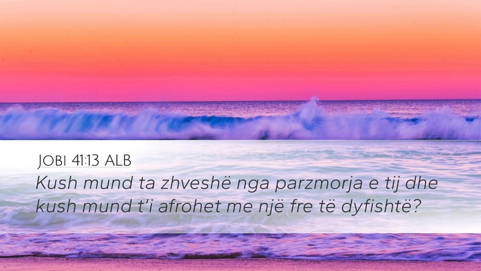 Jobi 41:13 ALB Desktop Wallpaper - Kush mund ta zhveshë nga parzmorja e tij dhe - Desktop Bible Verse Wallpaper