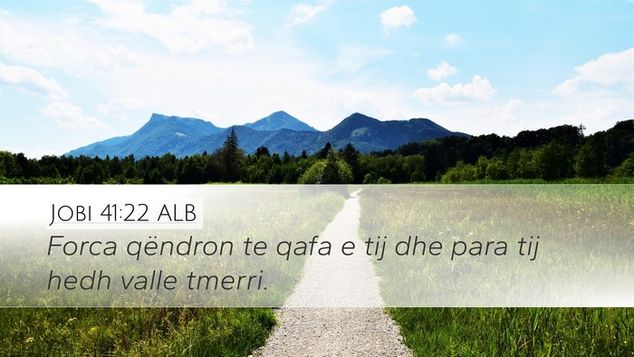 Jobi 41:22 ALB Desktop Wallpaper - Forca qëndron te qafa e tij dhe para tij hedh - Desktop Bible Verse Wallpaper