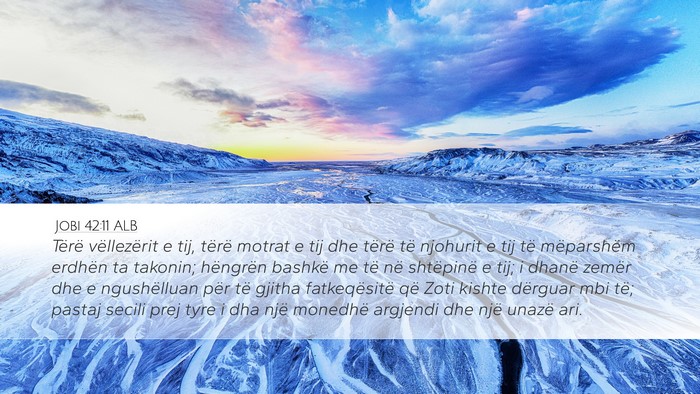 Jobi 42:11 ALB Bible Verse Image