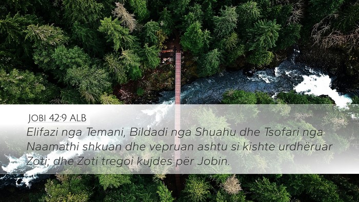 Jobi 42:9 ALB Desktop Wallpaper - Elifazi nga Temani, Bildadi nga Shuahu dhe - Desktop Bible Verse Wallpaper