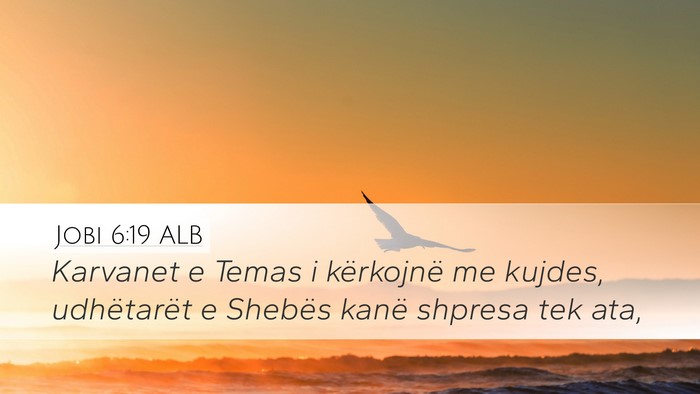 Jobi 6:19 ALB Bible Verse Image