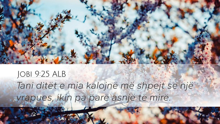 Jobi 9:25 ALB Bible Verse Image