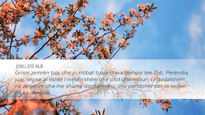 Joeli 2:13 ALB Bible Verse Image