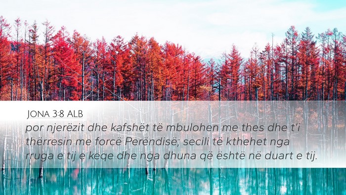 Jona 3:8 ALB Desktop Wallpaper - por njerëzit dhe kafshët të mbulohen me thes - Desktop Bible Verse Wallpaper