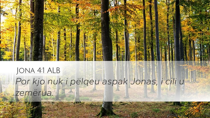 Jona 4:1 ALB Desktop Wallpaper - Por kjo nuk i pëlqeu aspak Jonas, i cili u - Desktop Bible Verse Wallpaper