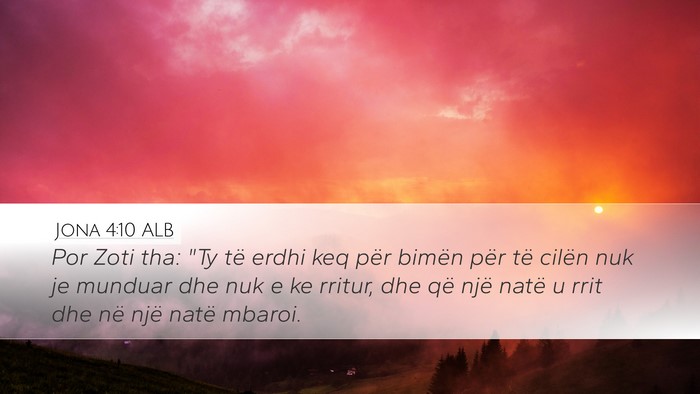 Jona 4:10 ALB Desktop Wallpaper - Por Zoti tha: 
