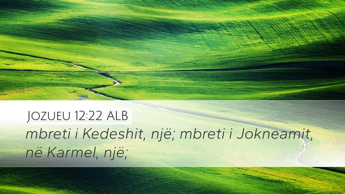 Jozueu 12:22 ALB Bible Verse Image