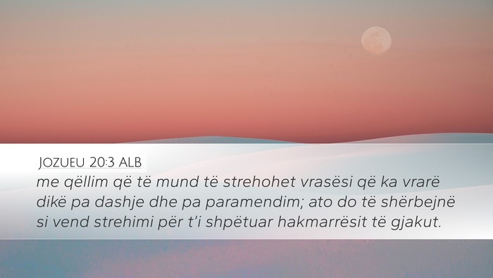 Jozueu 20:3 ALB Bible Verse Image