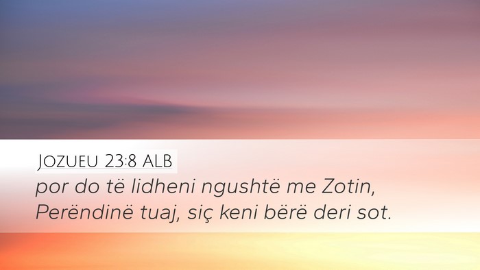 Jozueu 23:8 ALB Bible Verse Image