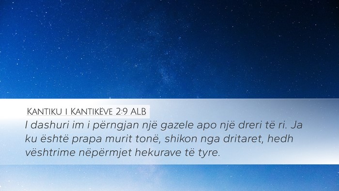 Kantiku i Kantikëve 2:9 ALB Bible Verse Image