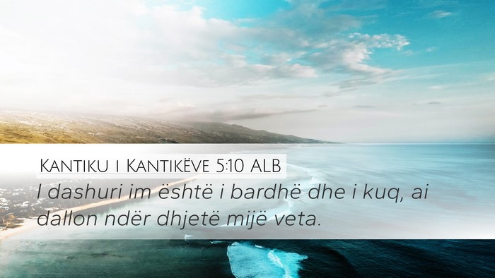Kantiku i Kantikëve 5:10 ALB Bible Verse Image