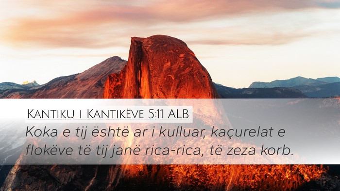 Kantiku i Kantikëve 5:11 ALB Bible Verse Image