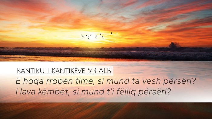 Kantiku i Kantikëve 5:3 ALB Desktop Wallpaper - E hoqa rrobën time, si mund ta vesh përsëri? I - Desktop Bible Verse Wallpaper