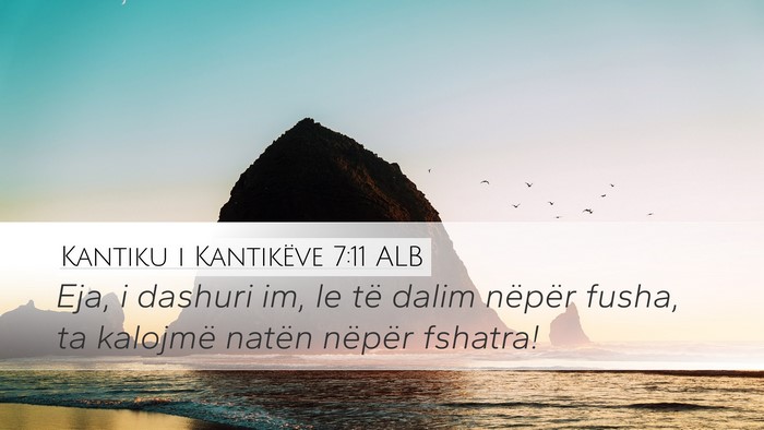 Kantiku i Kantikëve 7:11 ALB Desktop Wallpaper - Eja, i dashuri im, le të dalim nëpër fusha, ta - Desktop Bible Verse Wallpaper