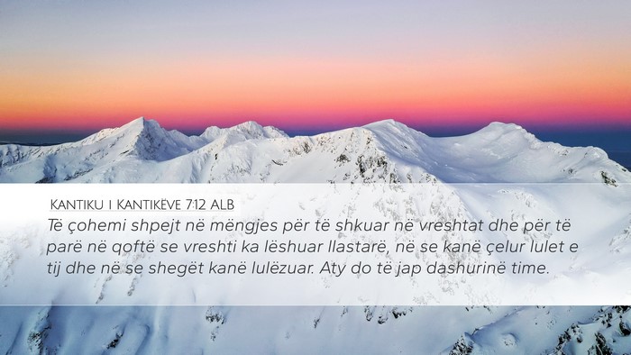 Kantiku i Kantikëve 7:12 ALB Bible Verse Image