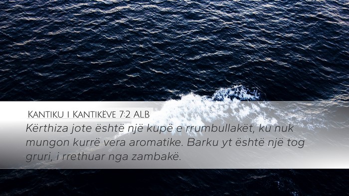 Kantiku i Kantikëve 7:2 ALB Desktop Wallpaper - Kërthiza jote është një kupë e - Desktop Bible Verse Wallpaper