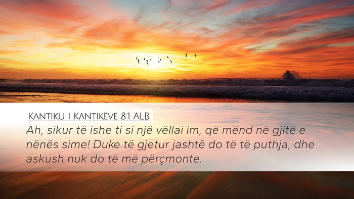 Kantiku i Kantikëve 8:1 ALB Bible Verse Image