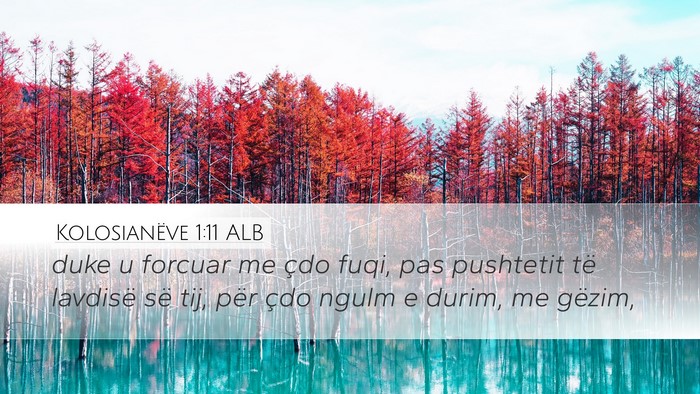 Kolosianëve 1:11 ALB Bible Verse Image