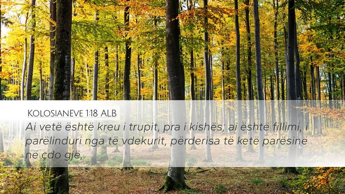 Kolosianëve 1:18 ALB Bible Verse Image