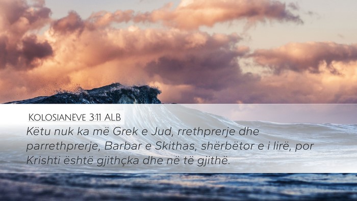 Kolosianëve 3:11 ALB Bible Verse Image