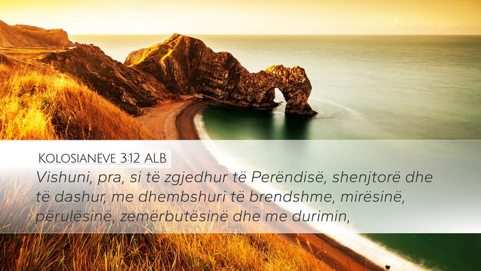 Kolosianëve 3:12 ALB Bible Verse Image