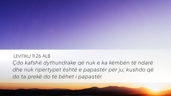 Levitiku 11:26 ALB Desktop Wallpaper - Çdo kafshë dythundrake që nuk e ka këmbën - Desktop Bible Verse Wallpaper