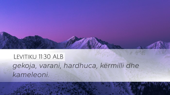 Levitiku 11:30 ALB Desktop Wallpaper - gekoja, varani, hardhuca, kërmilli dhe - Desktop Bible Verse Wallpaper