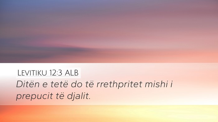 Levitiku 12:3 ALB Bible Verse Image