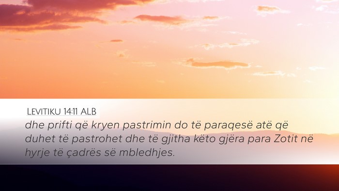 Levitiku 14:11 ALB Desktop Wallpaper - dhe prifti që kryen pastrimin do të paraqesë - Desktop Bible Verse Wallpaper