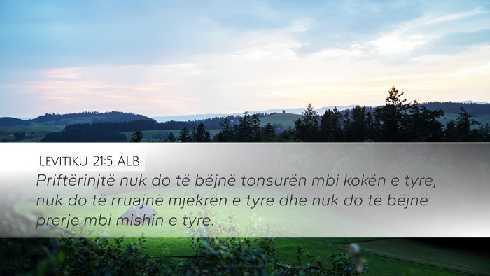 Levitiku 21:5 ALB Bible Verse Image
