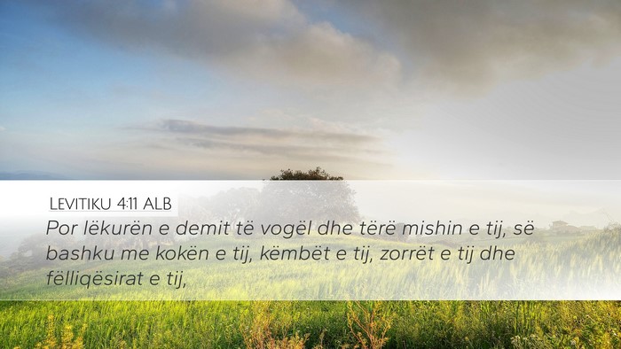 Levitiku 4:11 ALB Bible Verse Image