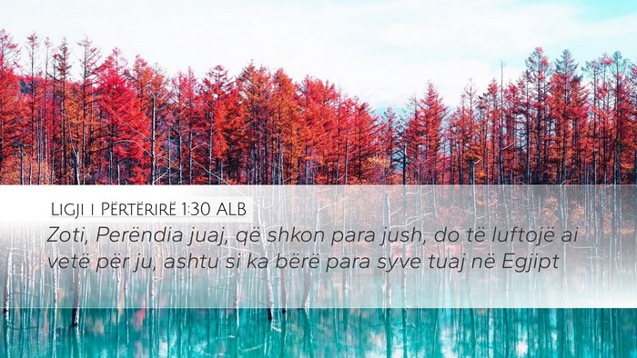 Ligji i Përtërirë 1:30 ALB Bible Verse Image