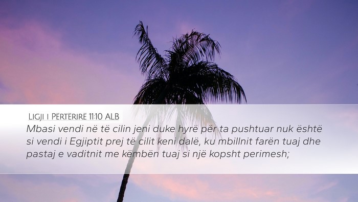 Ligji i Përtërirë 11:10 ALB Bible Verse Image
