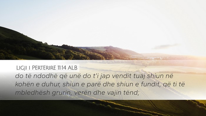 Ligji i Përtërirë 11:14 ALB Bible Verse Image